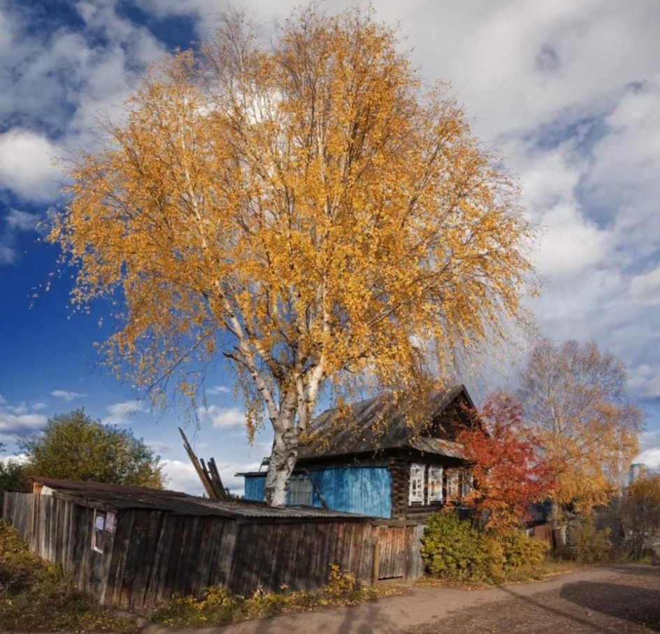 Осенний день