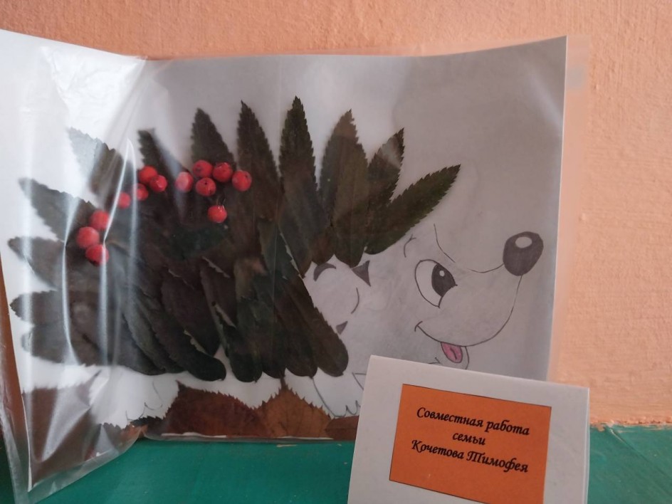 Колючий ёжик