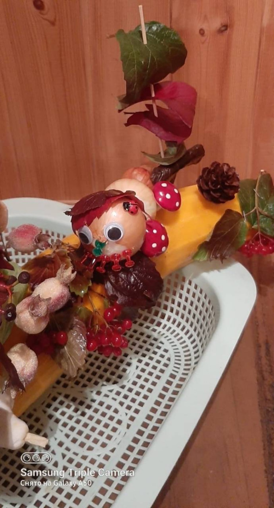 "Кабачковый урожай"