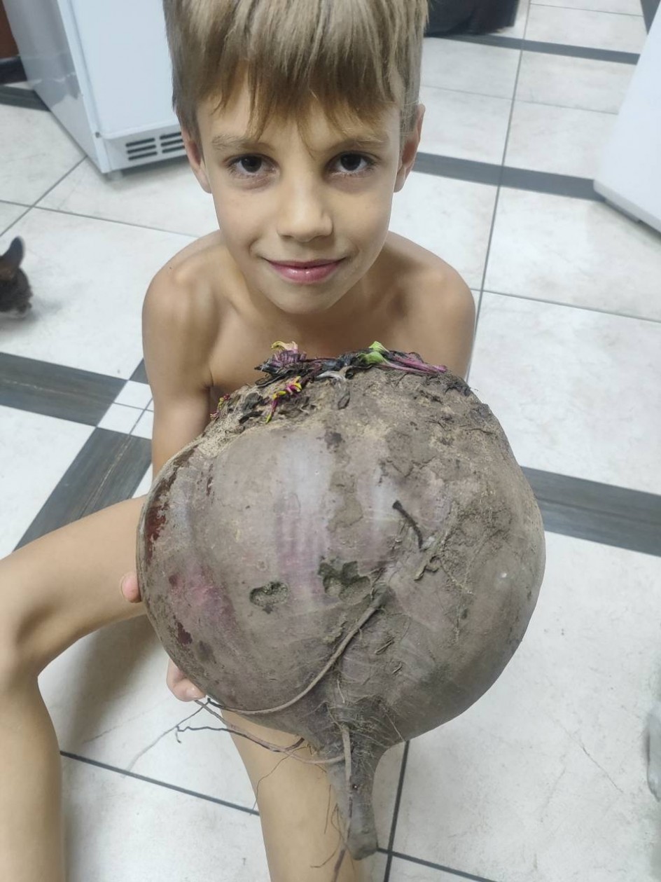 Наш гигантский урожай