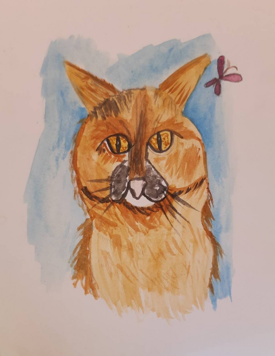 Мой кот Барсик