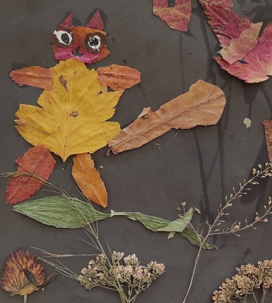 Кот гуляет по саду