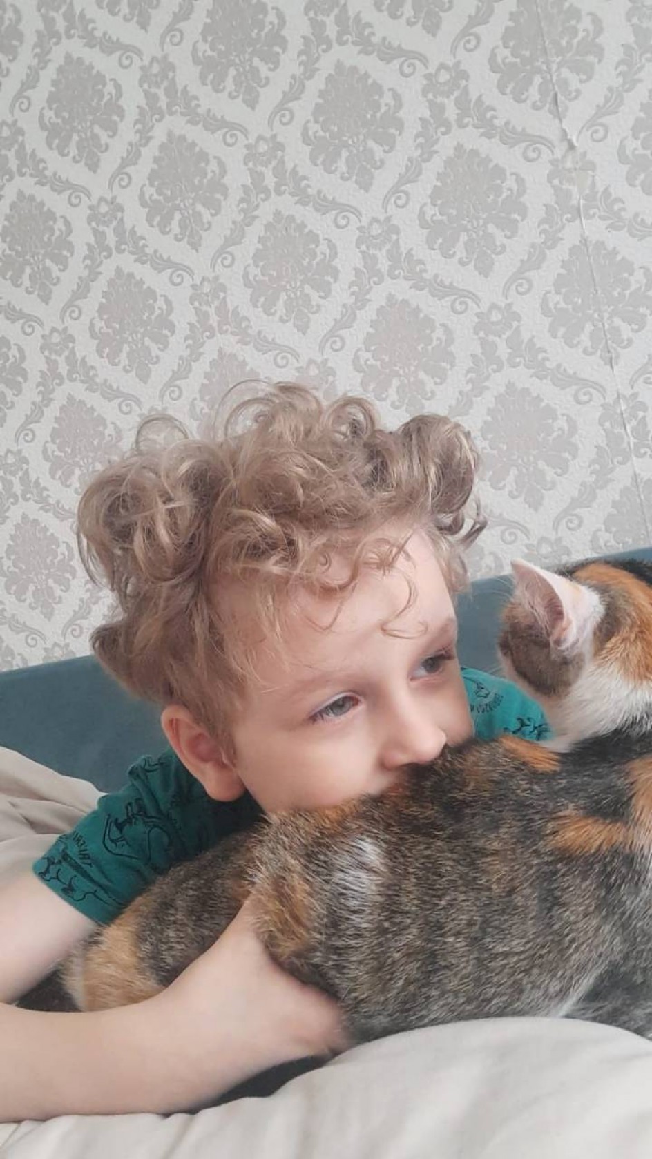 Моя любимая кошка