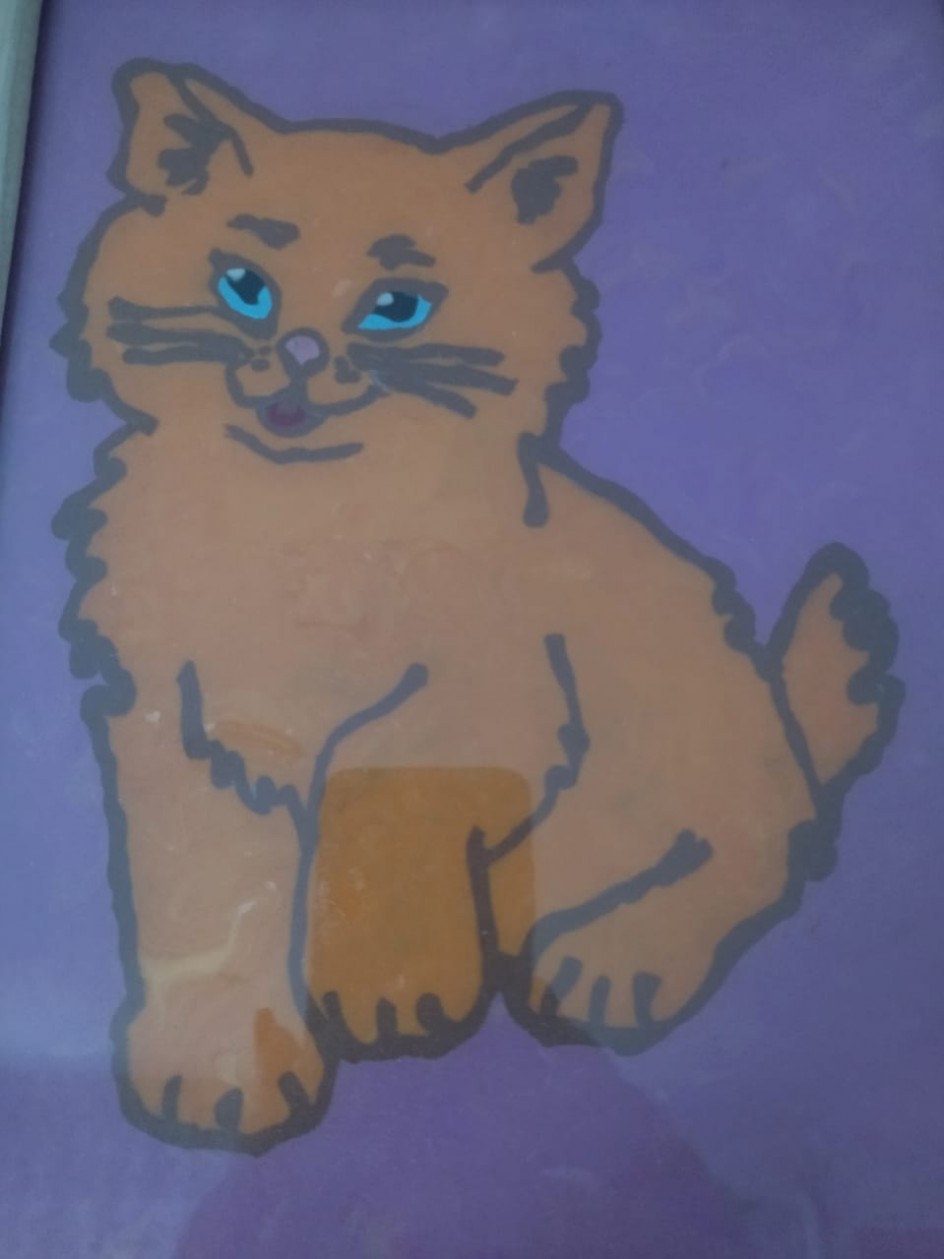 Кот по кличке "Сеня"
