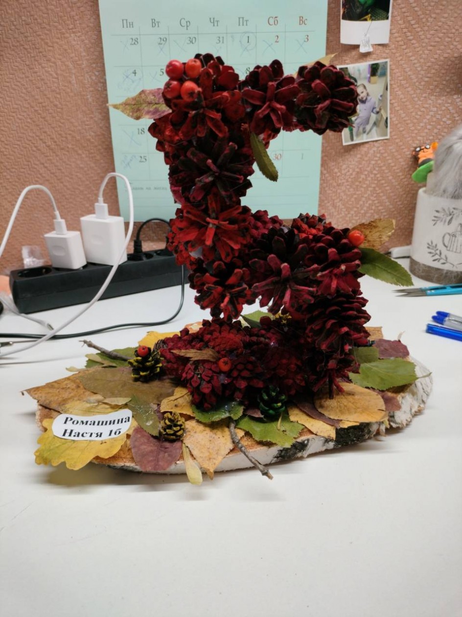"Учись на 5"