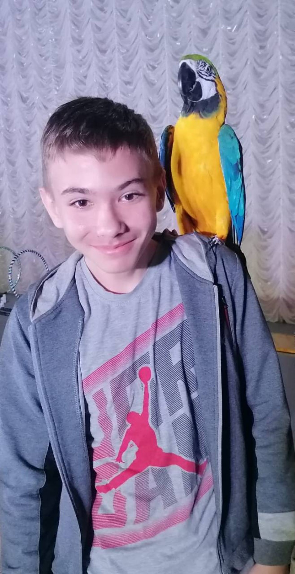 Все животные важны