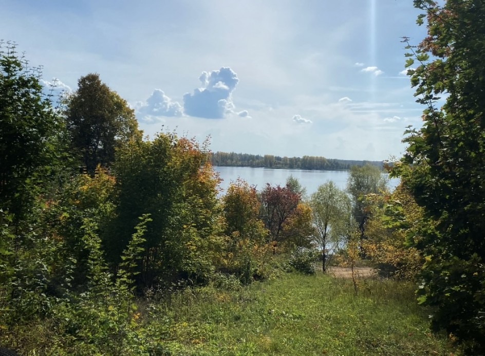 Краски осени