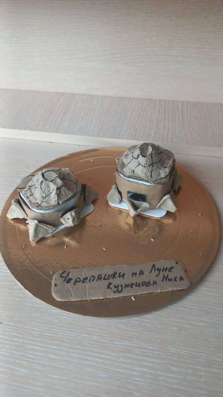 "Черепашки на луне"