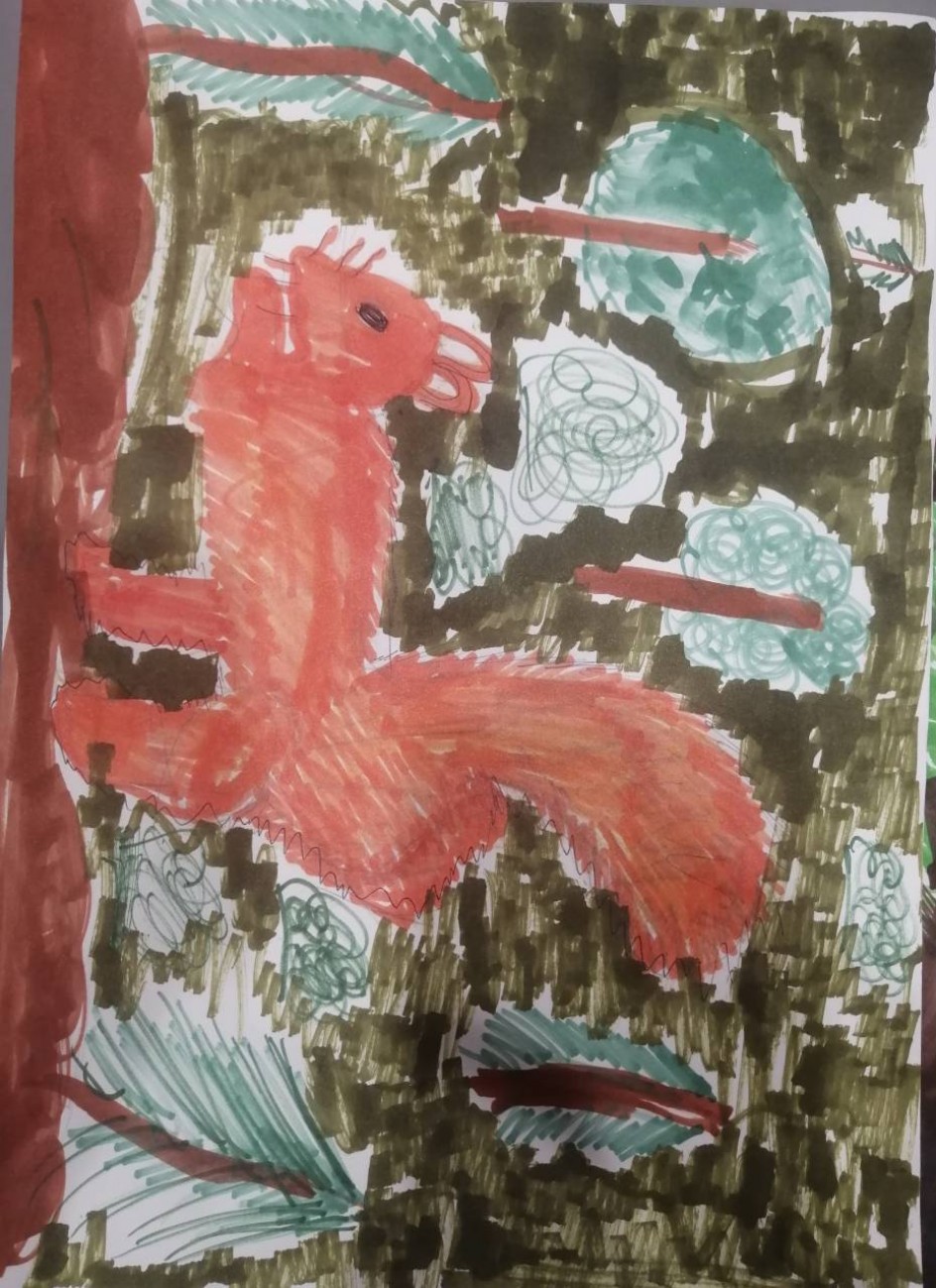 Рисунок "Белка"