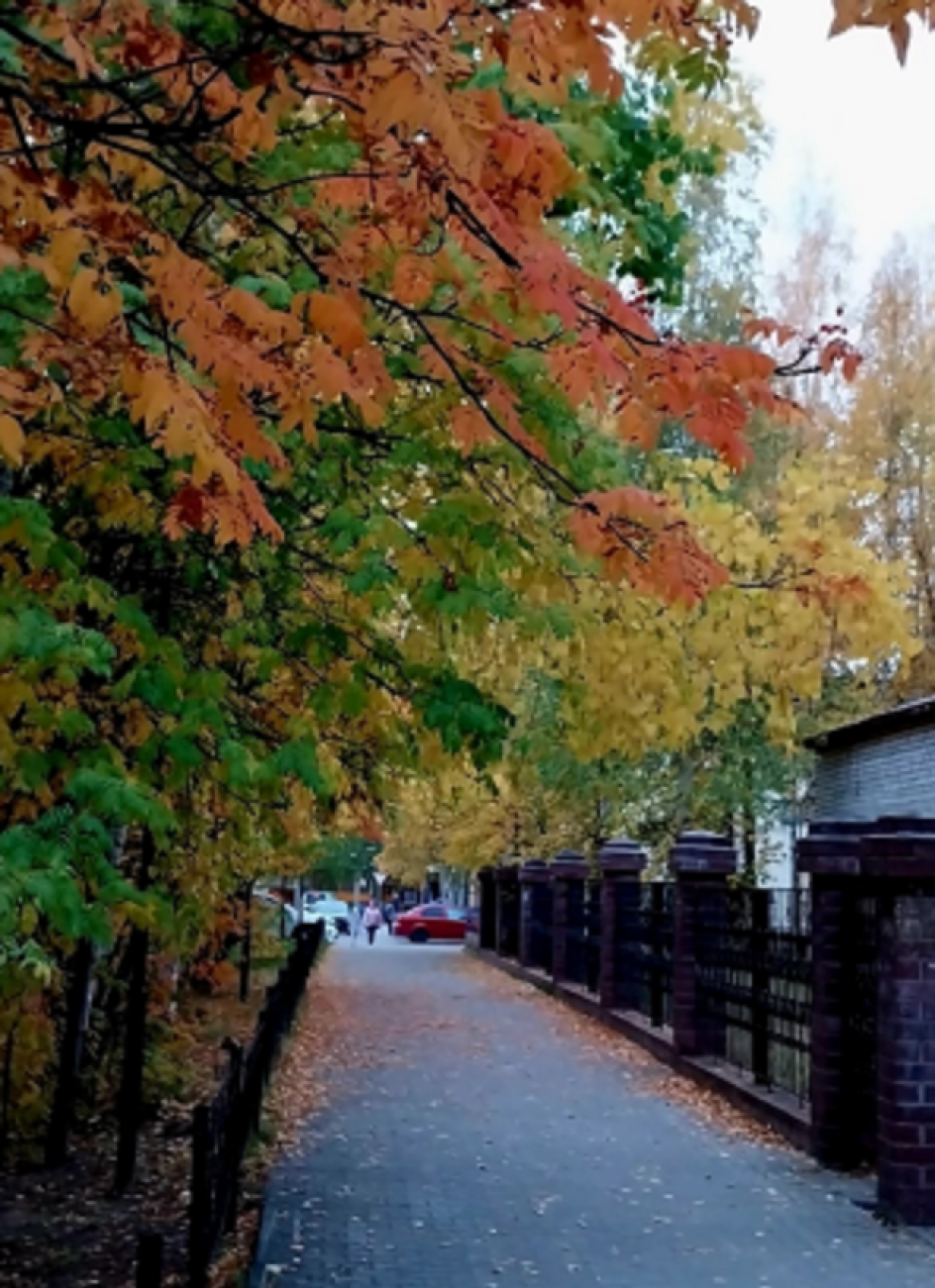 осенняя палитра