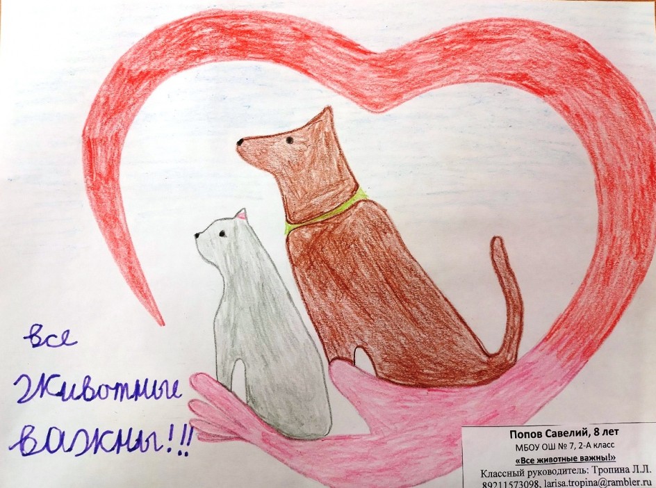 Все животные важны!
