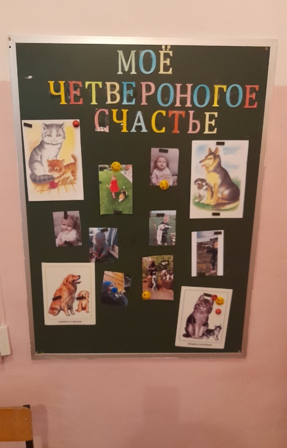 Мое четвероногое счастье
