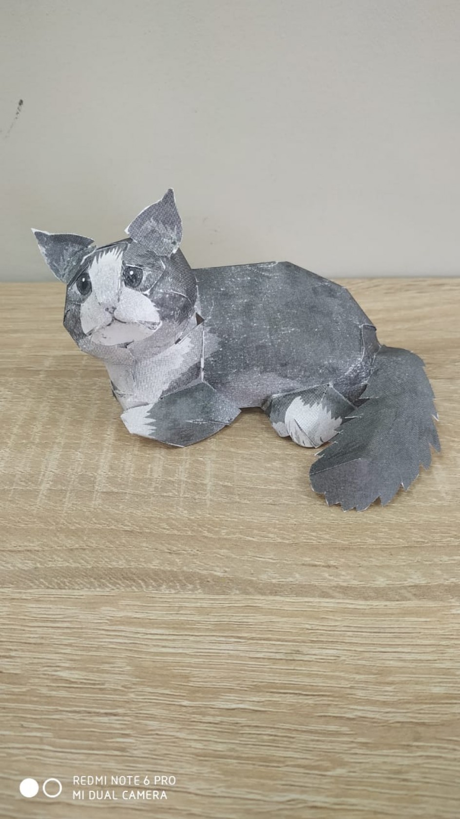 " Кот"