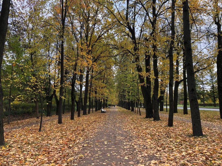 Осень в парке