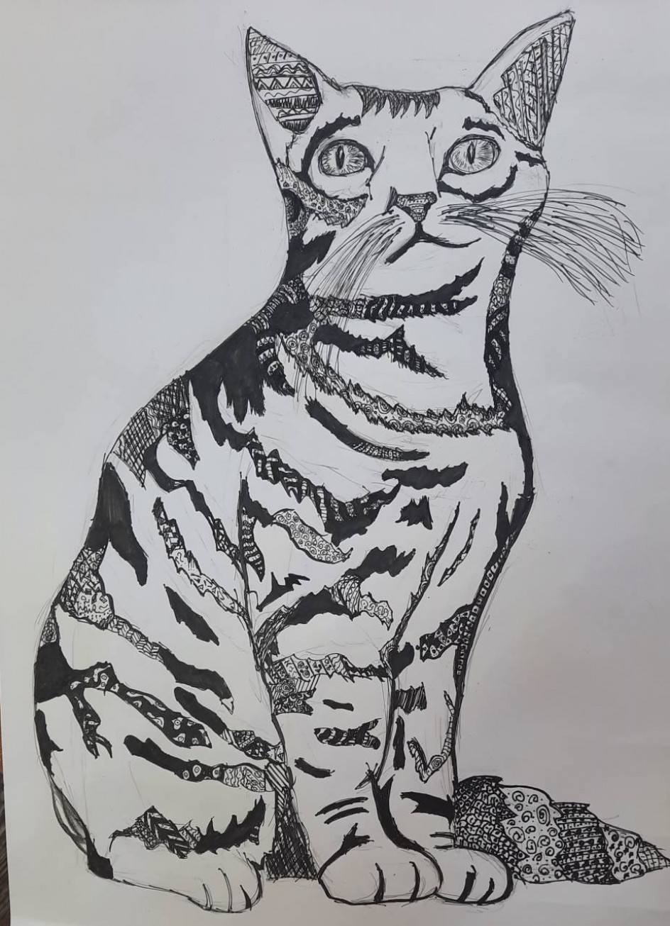 "Мой кот"