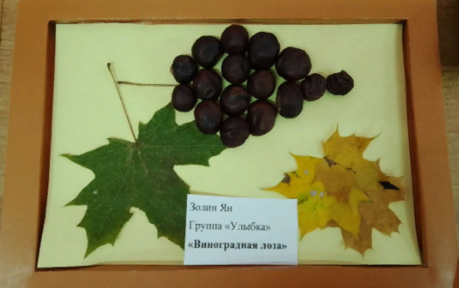 Виноградная лоза