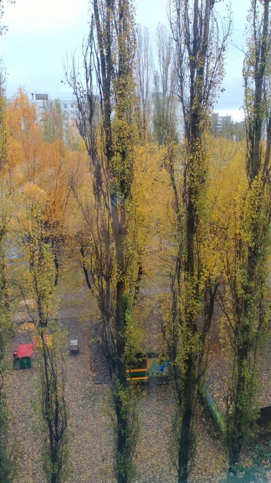 Осень золотая!