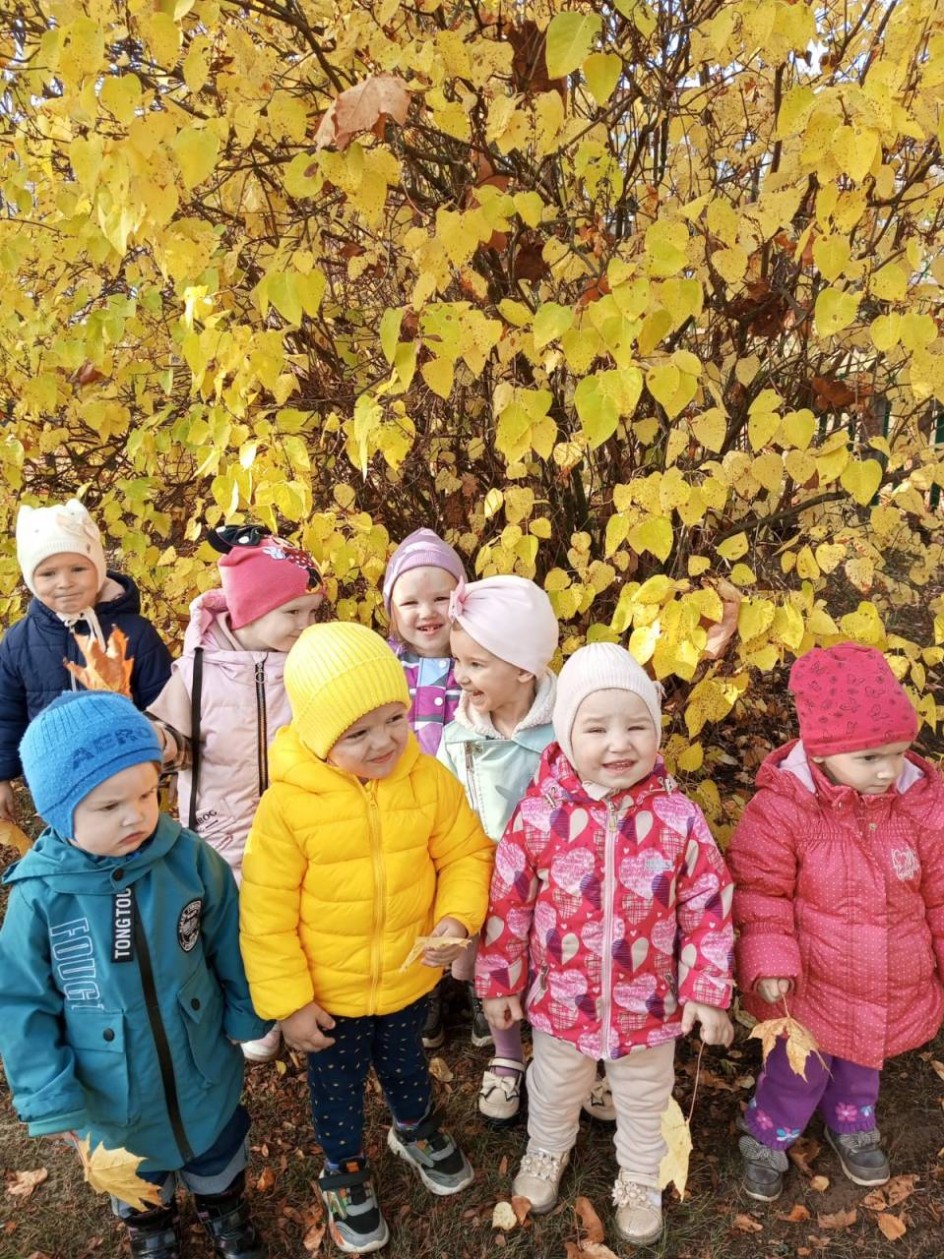 Осенние прогулки в детском саду