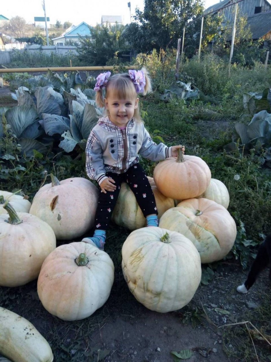 Осень тыквами богата