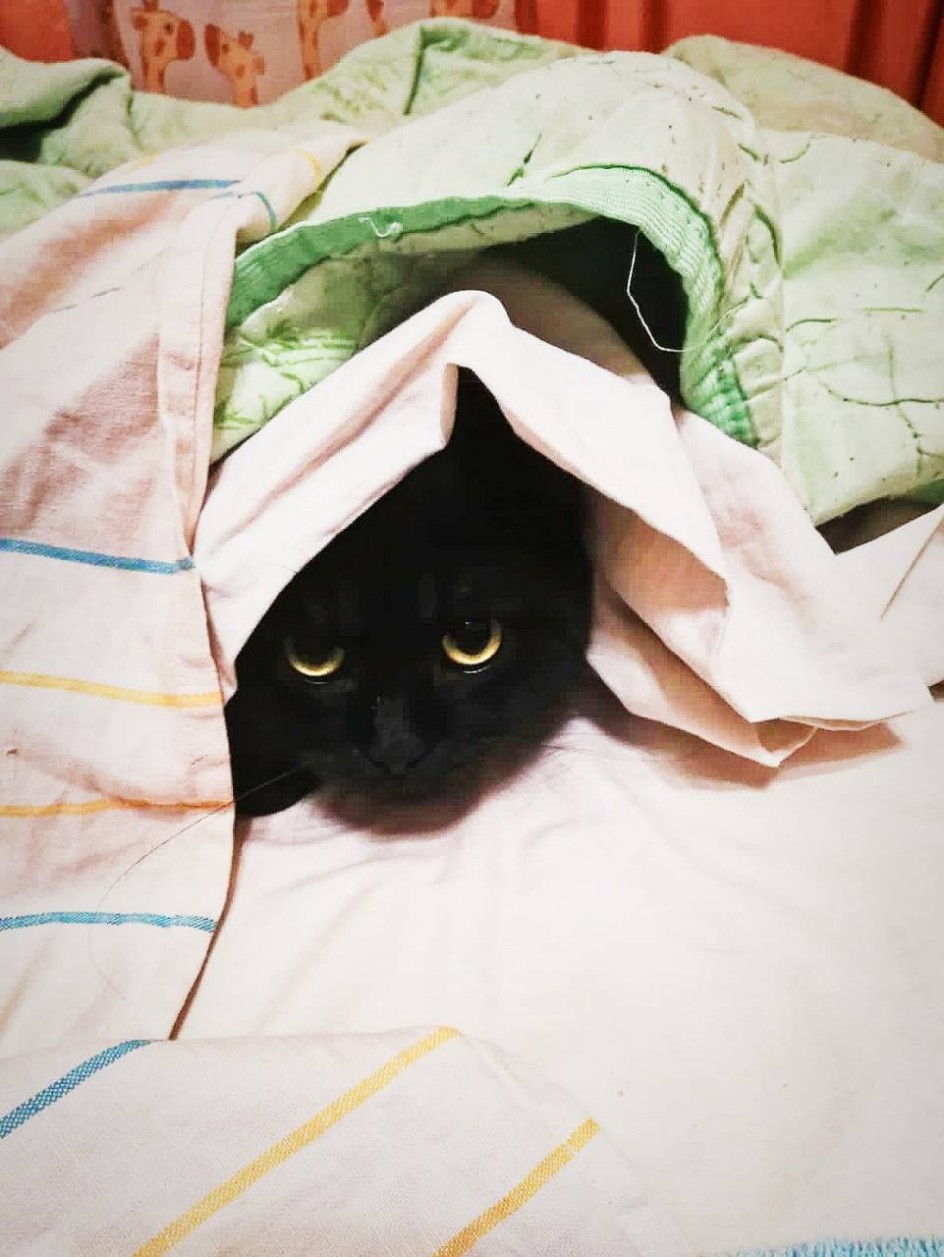 А может, кусь
