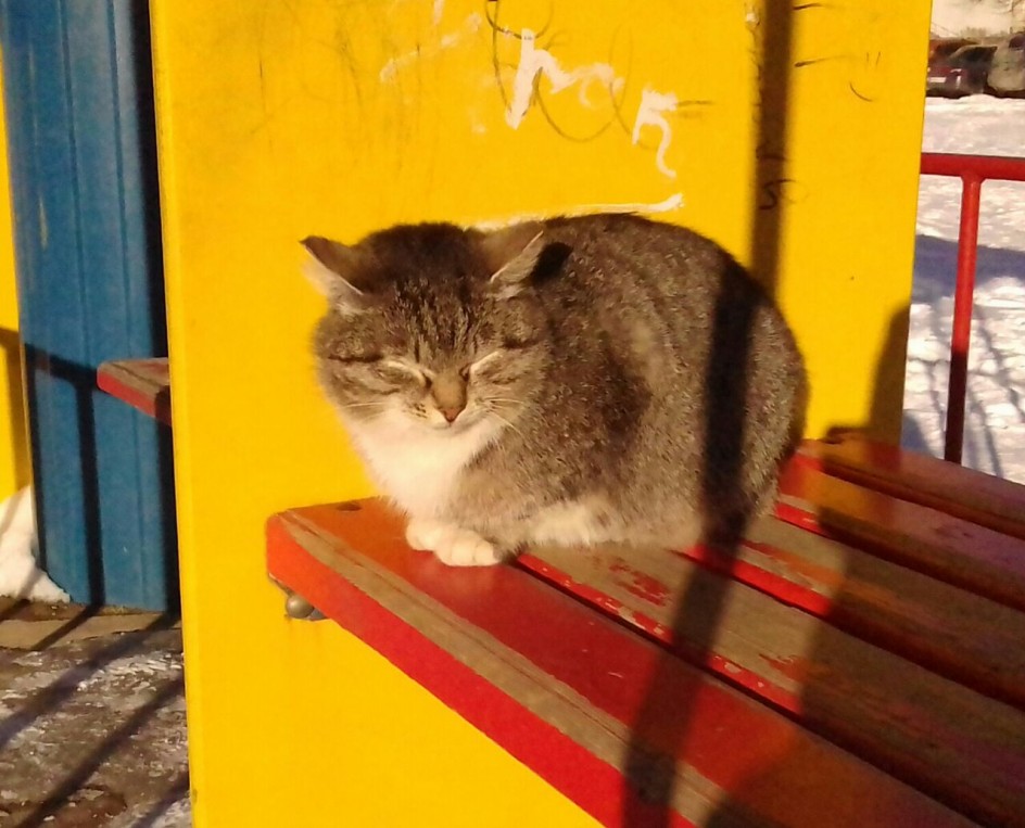 Жду весну