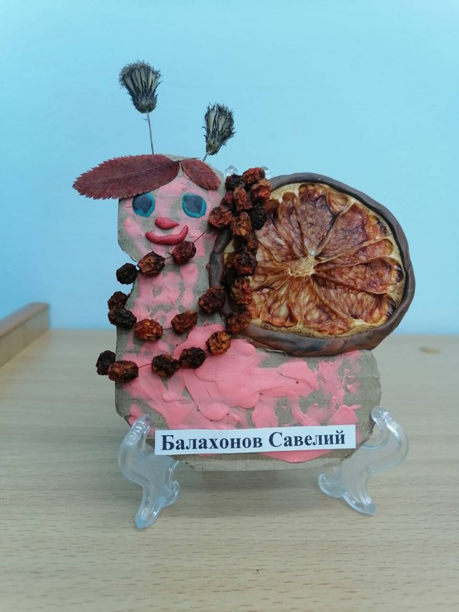 Улитка-модница