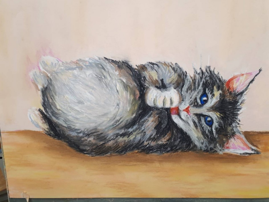 Кот-игрун