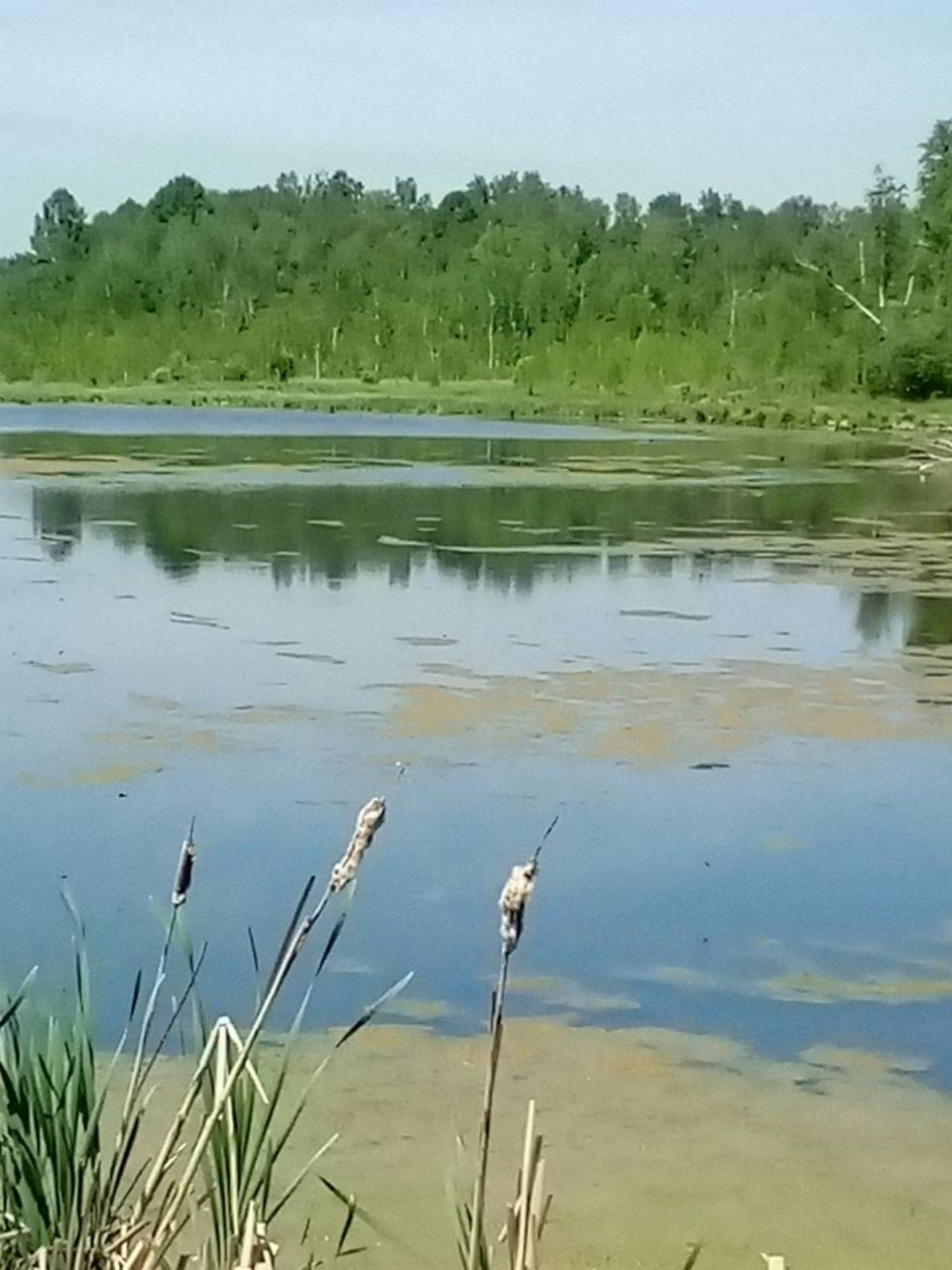 Уголок моей малой родины