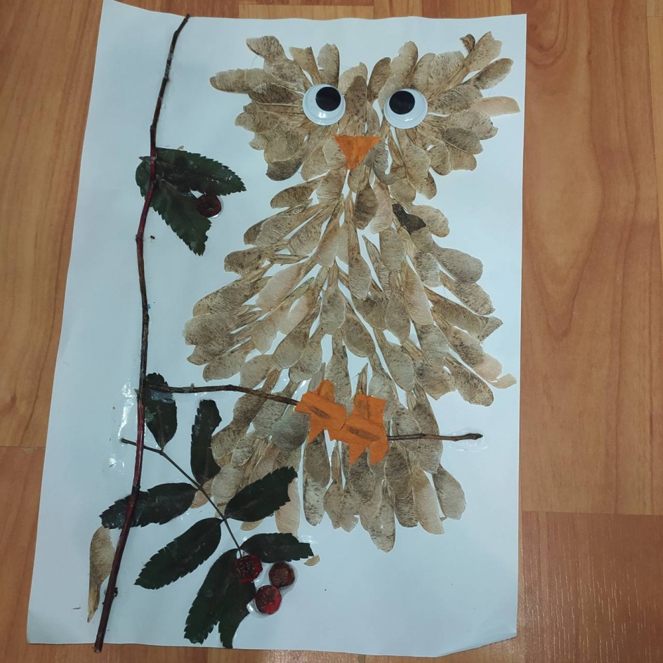 Совёнок Сплюшка