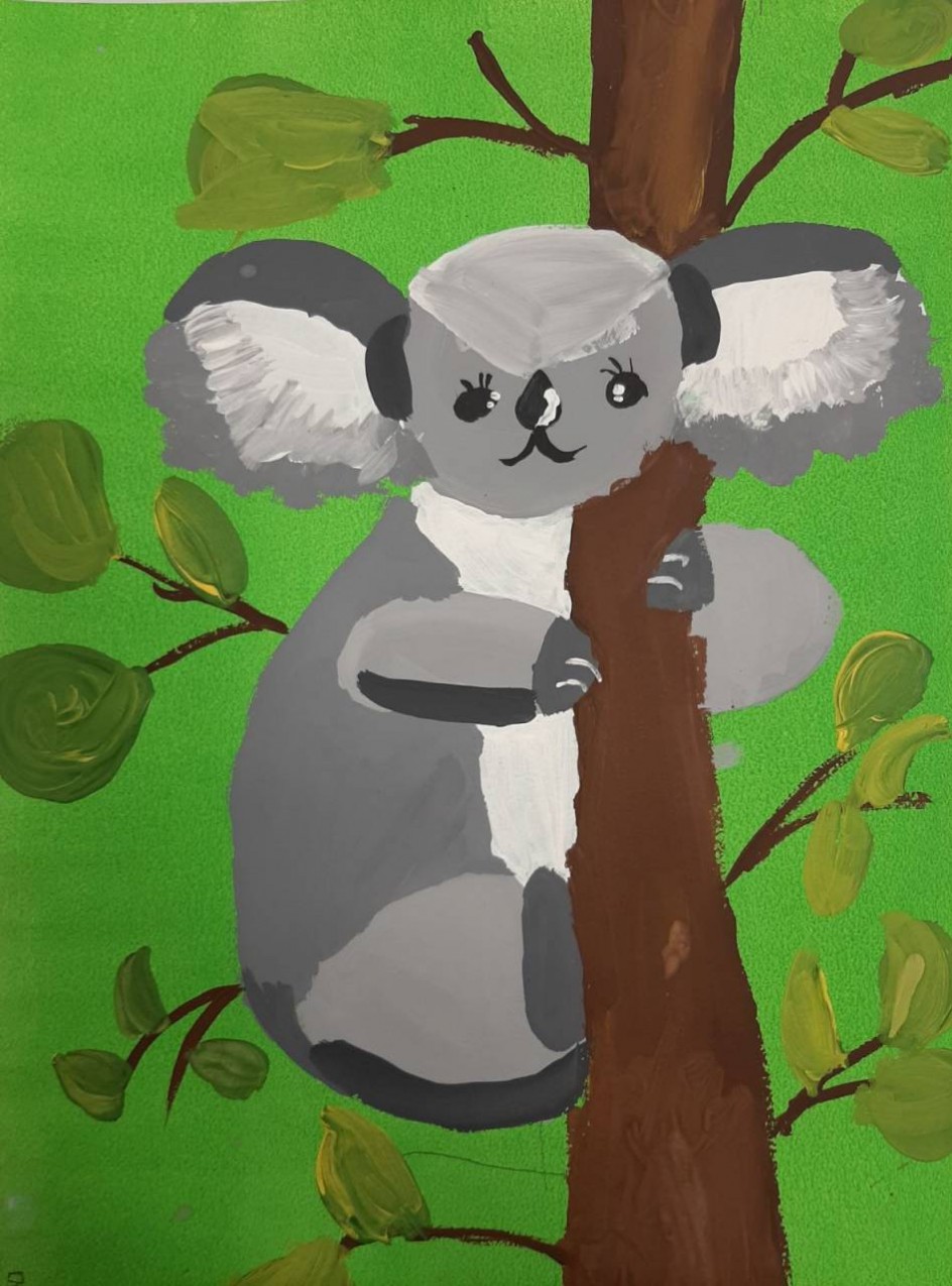 Коала