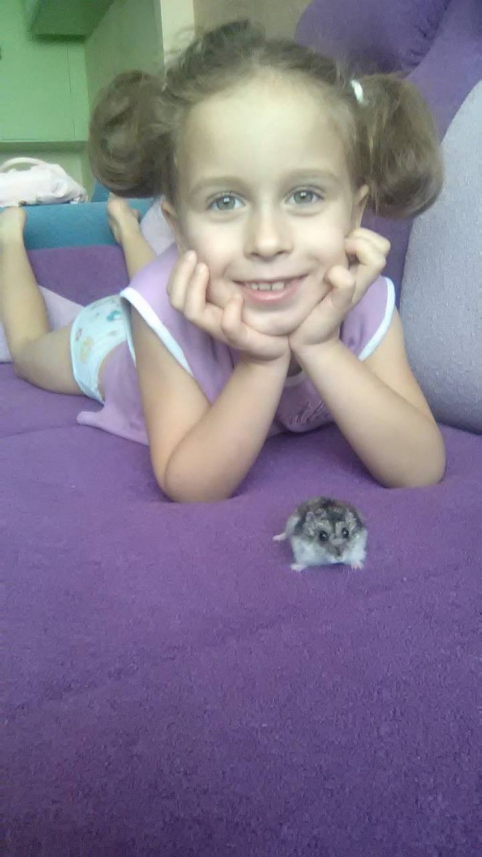 Все животные важны