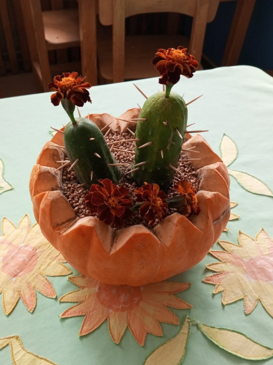 Кактусы