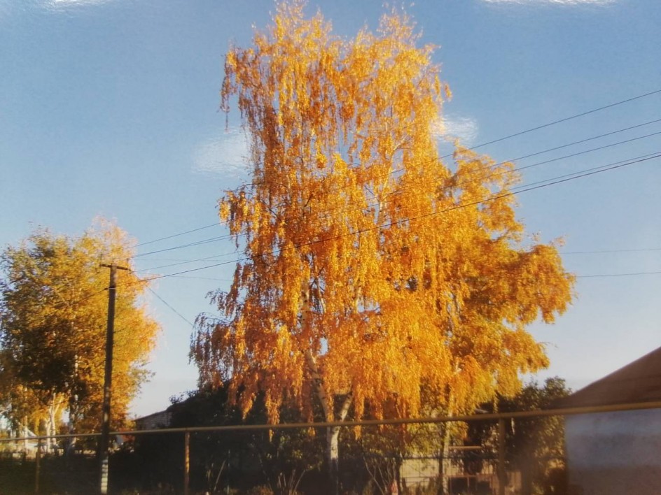 мой край