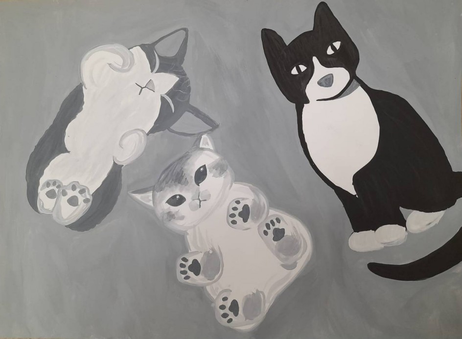 Кошки