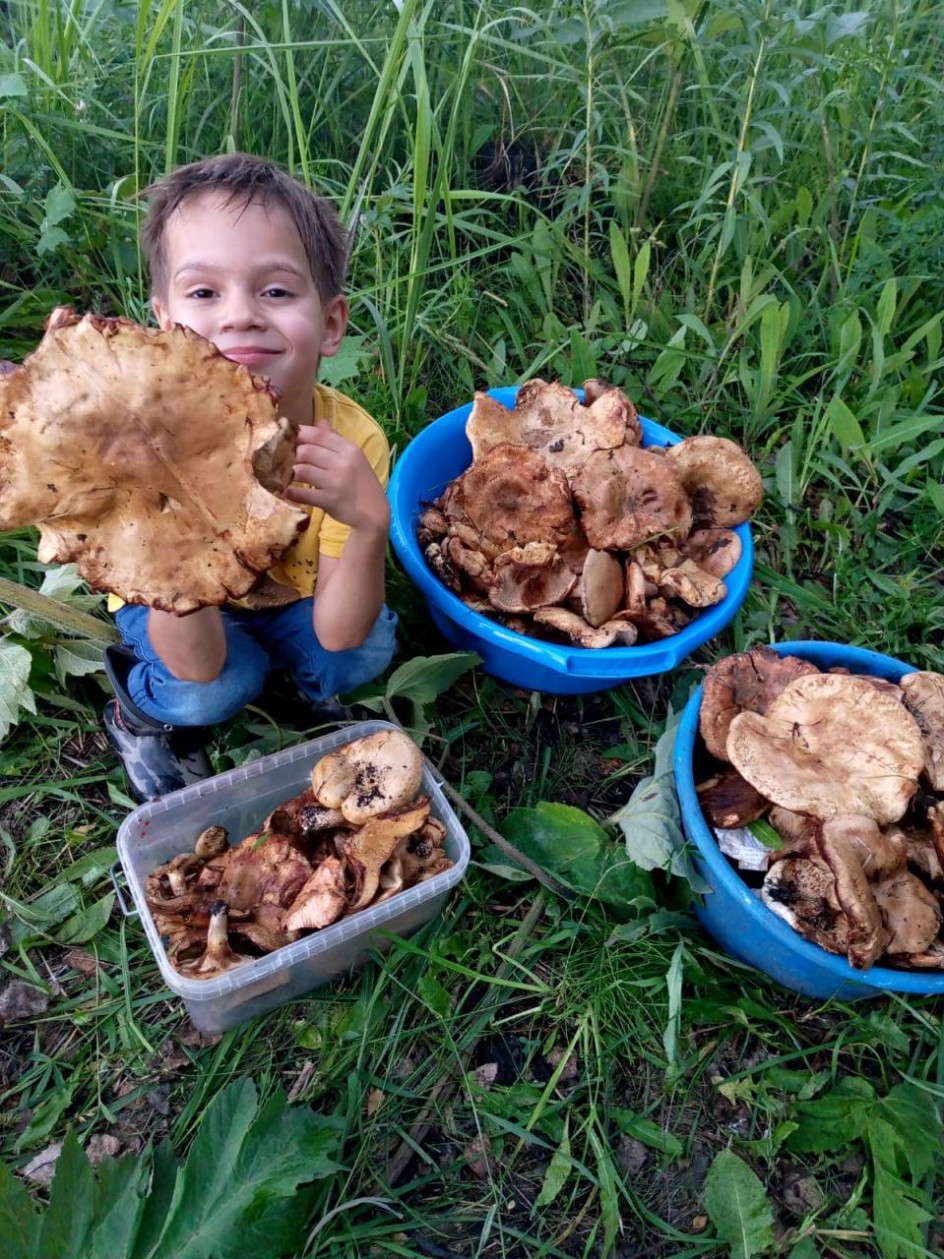 Маленький грибник