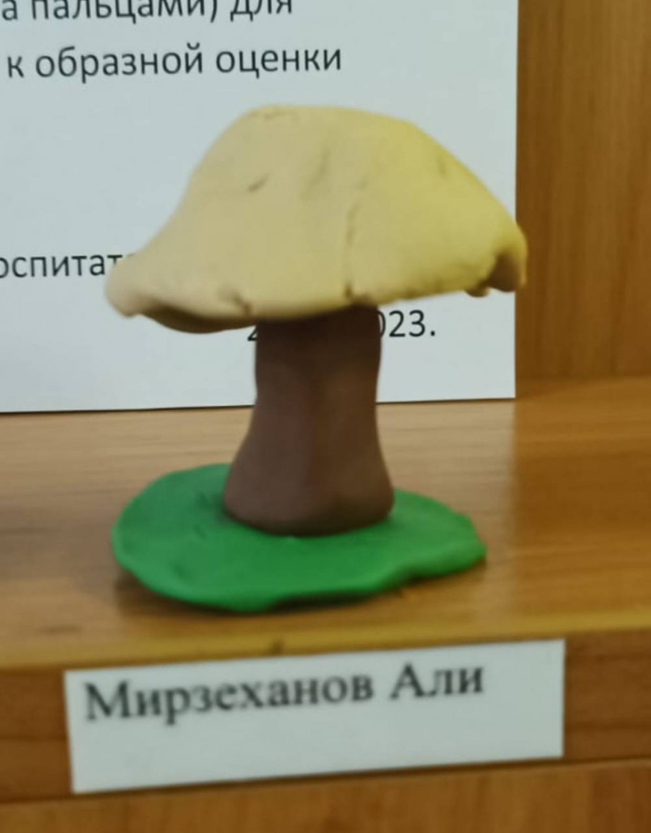 Самый ценный белый гриб