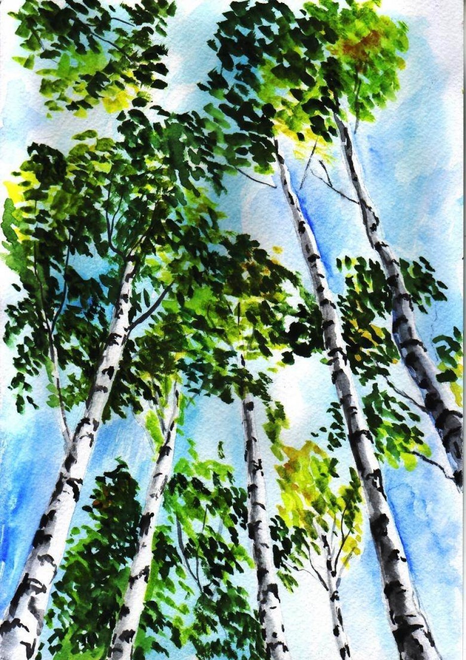 Березки