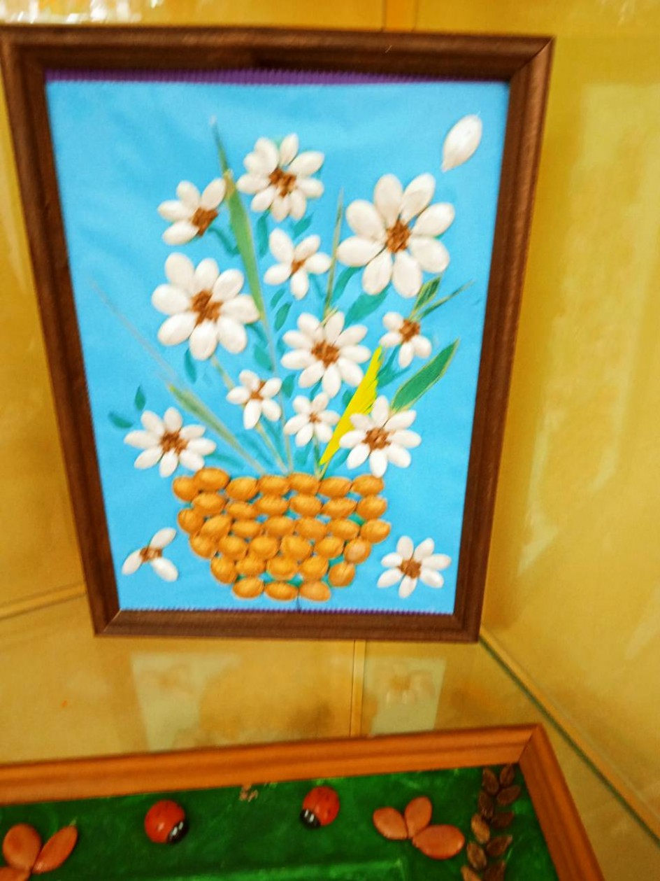 Ромашки