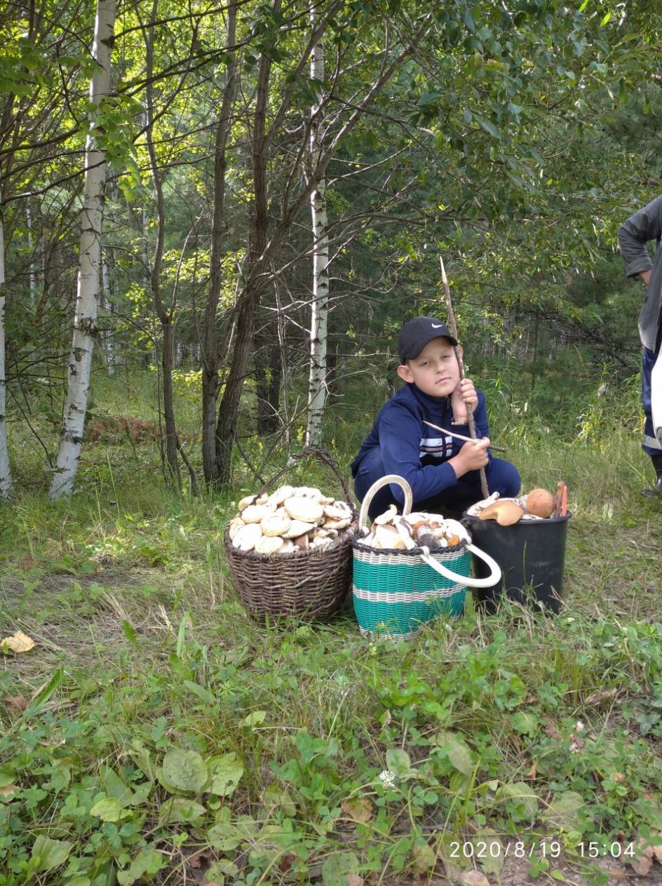 В лес по грибы!