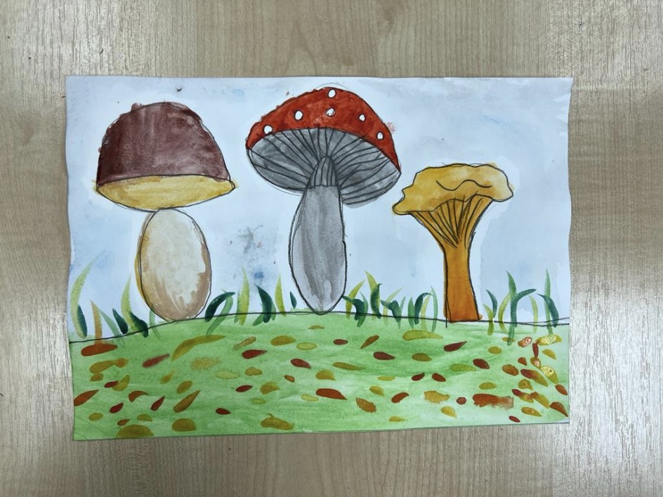 Урожай грибов