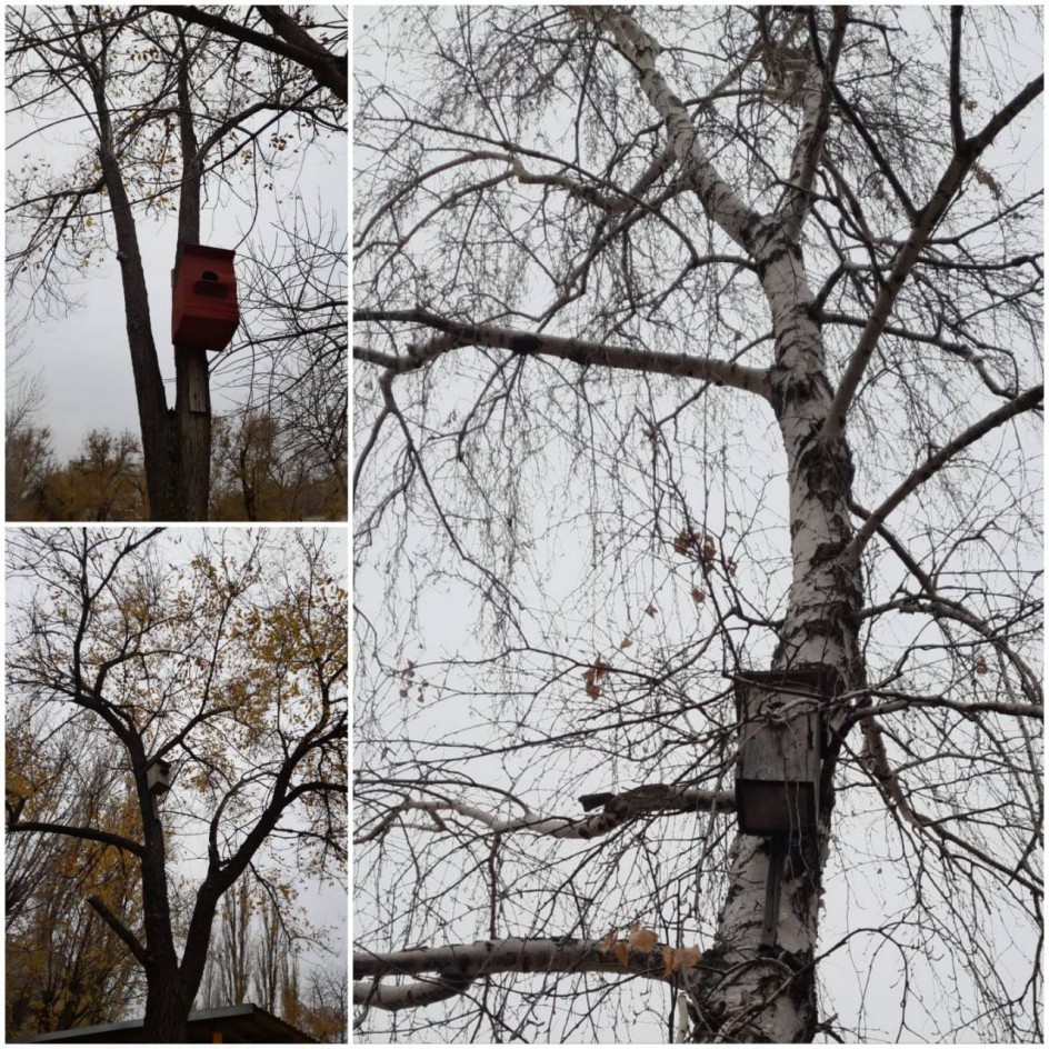 Каждой птичке по кормушке