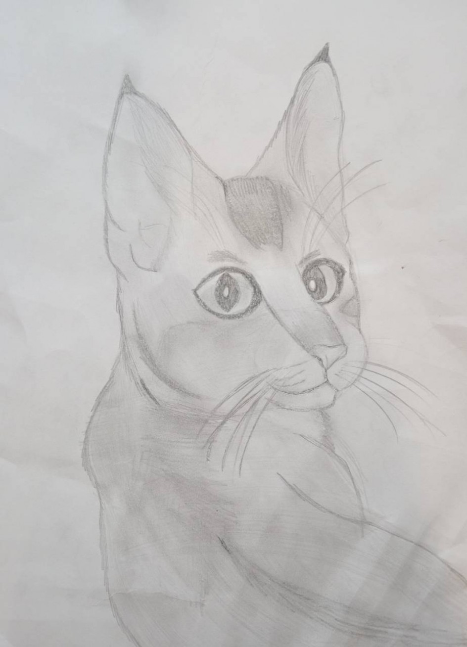 Кошка
