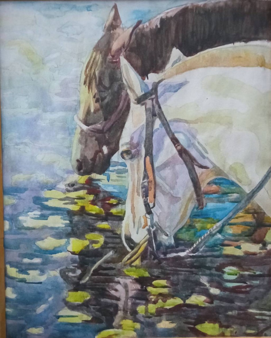 Лошади пьют воду