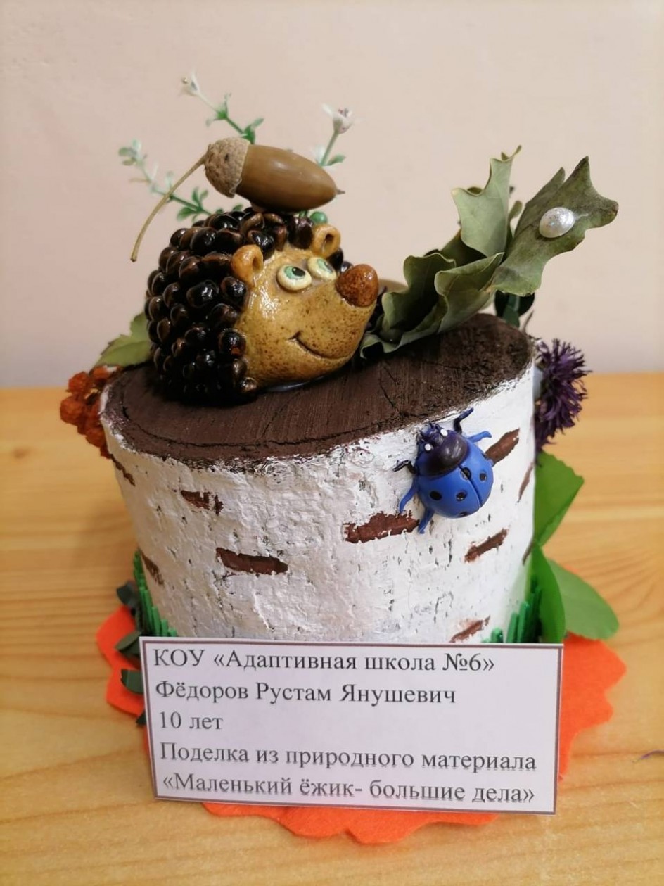 "Маленький ёжик-большие дела"