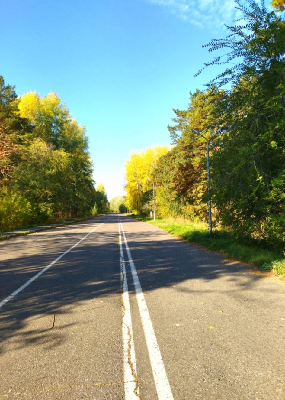 Разноцветная осень