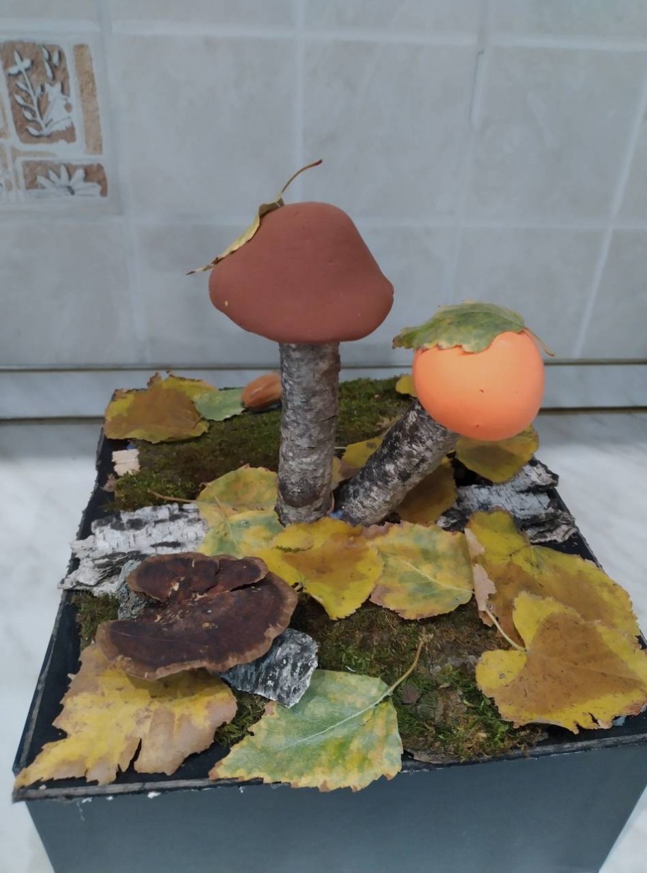 Боровички