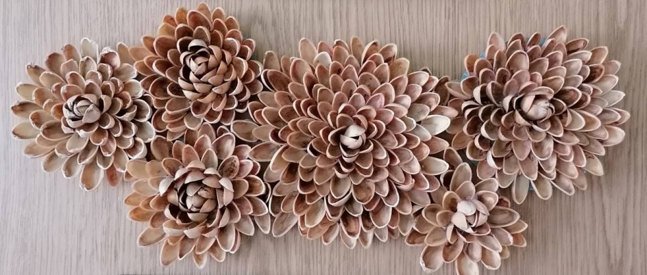 Панно суккуленты из фисташек