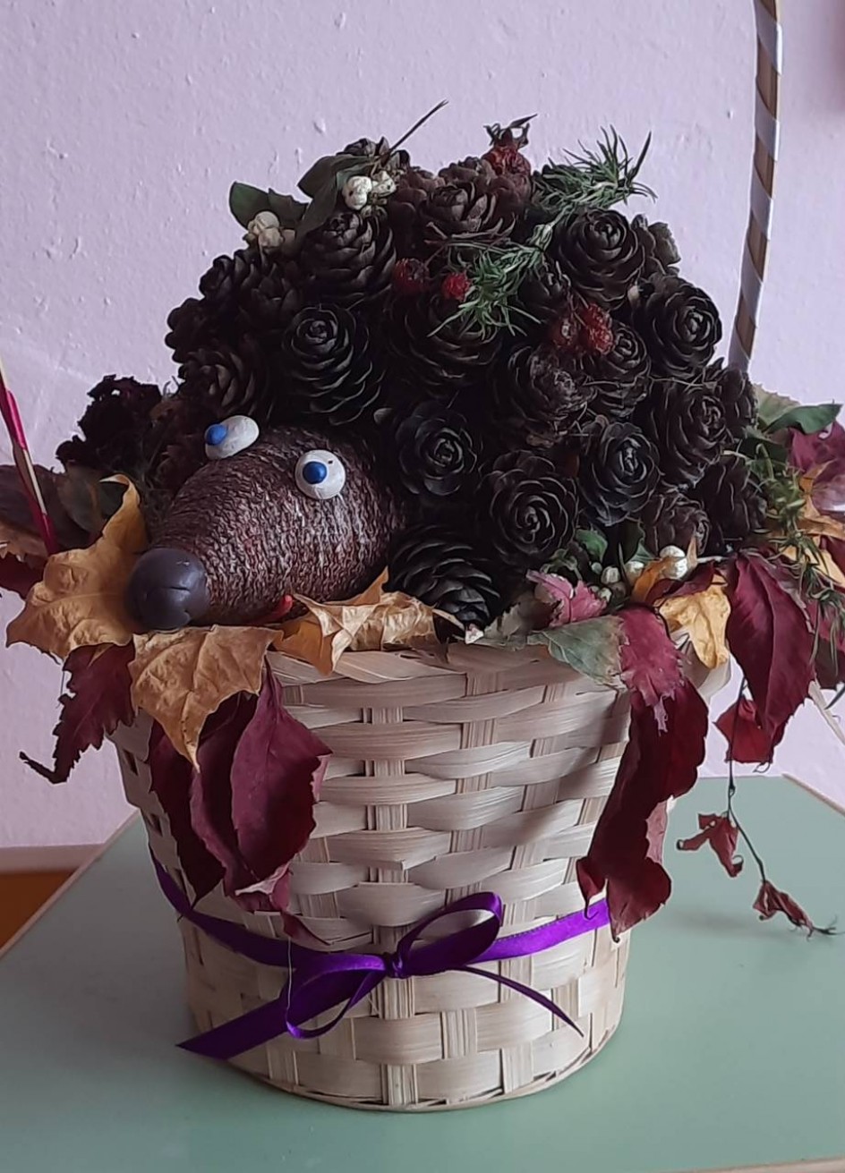 Колючий лесной житель