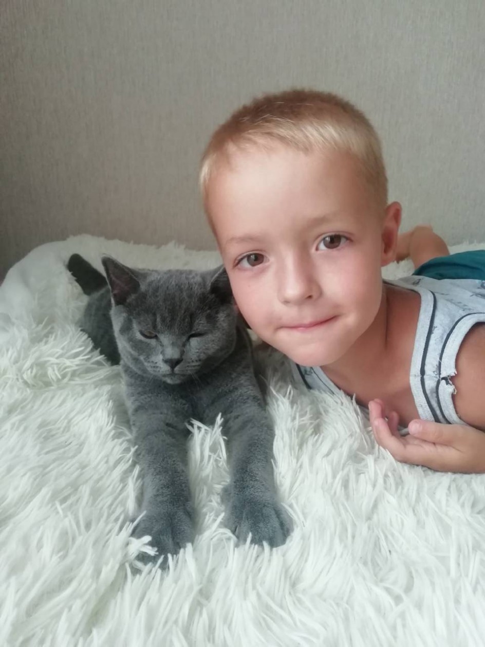 Мой милый кот