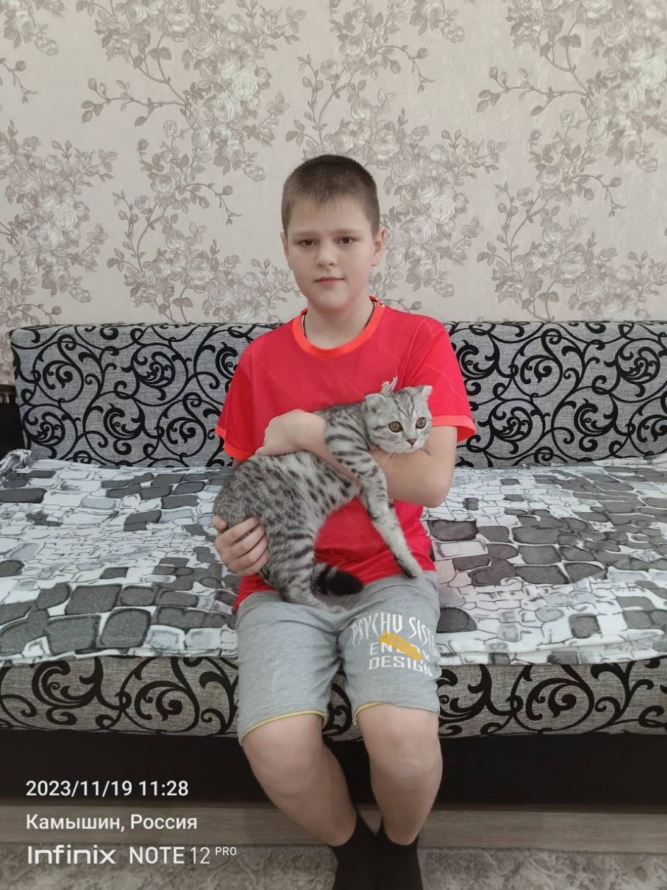 Уши,лапы и хвосты